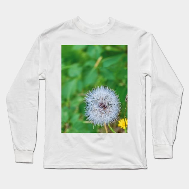 summer picture - dandelion fluff - blowball Long Sleeve T-Shirt by Hujer